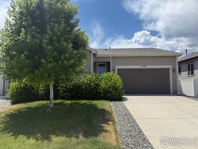 5536 Bexley Dr, Windsor, CO, 80550