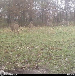 407th St, Unionville, IA, 52594