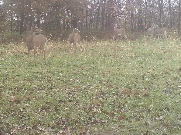 407th St, Unionville, IA 52594