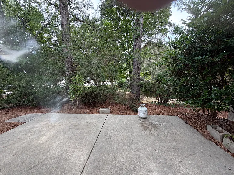 142 Hilda Grace Ln — Photo 18