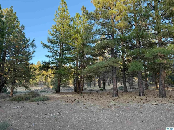 26 Cheney Creek Rd, Susanville, CA 96130