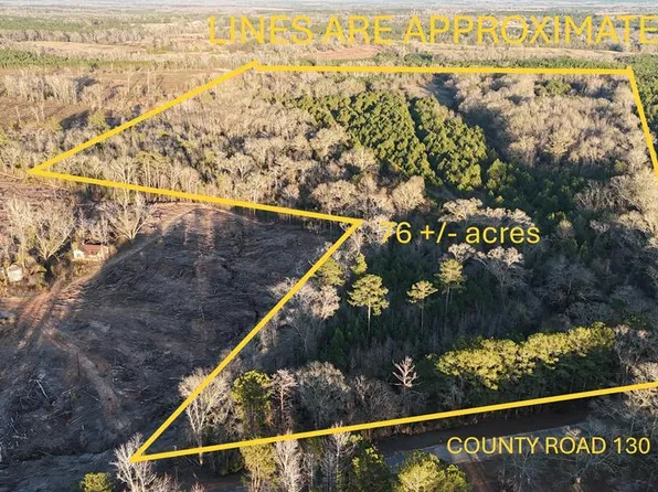 3581 County Road 130, Clopton, AL 36317