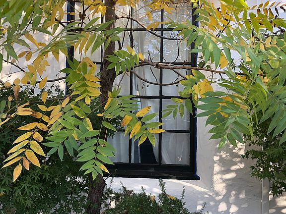 Big picture window in Front