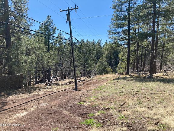 4th image of 17486 S Mescalero Dr
