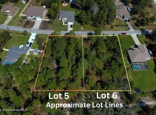 LOT 5 Flock Ave #5, Brooksville, FL 34613