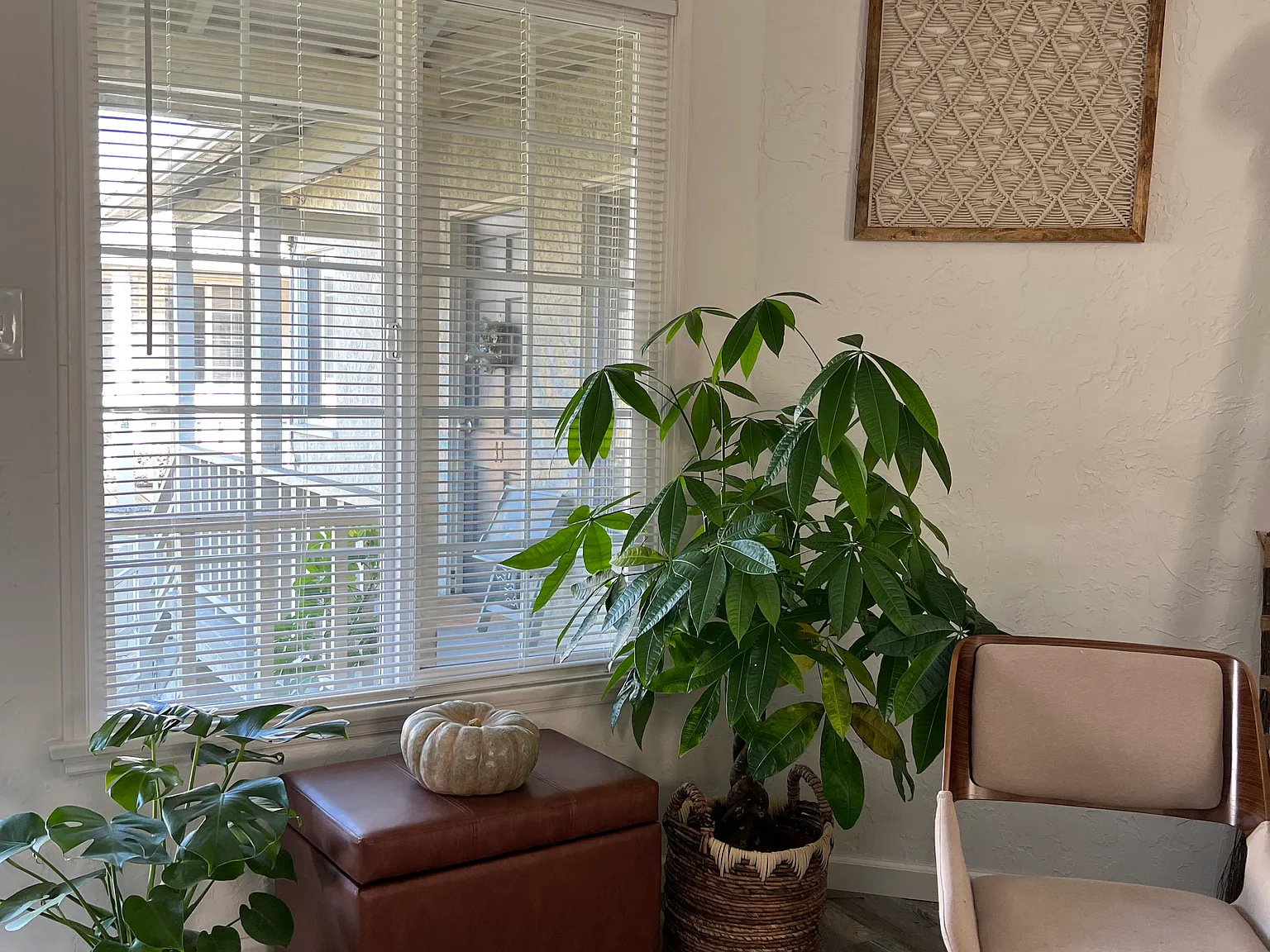 Studio, 450 sqft, $2,250 — Photo 4