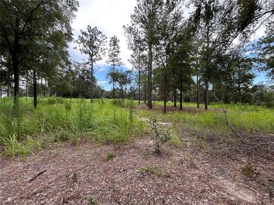 16051 SW 44th St Lot 9, Ocala, FL, 34481