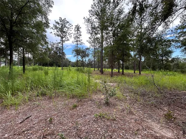 16051 SW 44th St Lot 9, Ocala, FL 34481