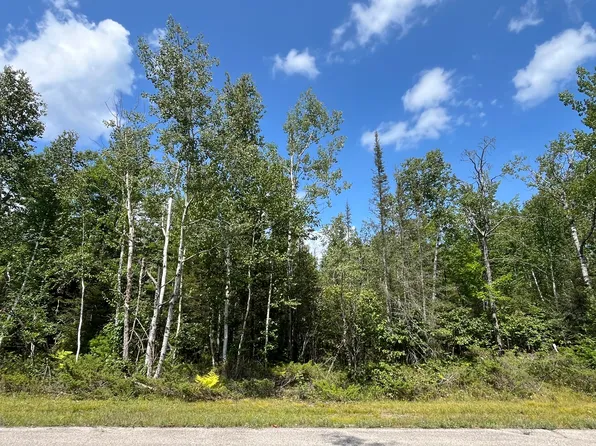 132 Wilderness Dr, Presque Isle, MI 49777