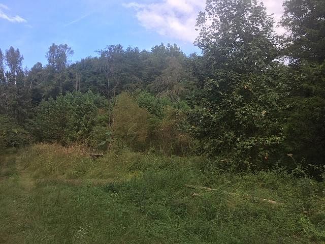 1st image of LOT 58 Wintergreen Dr
