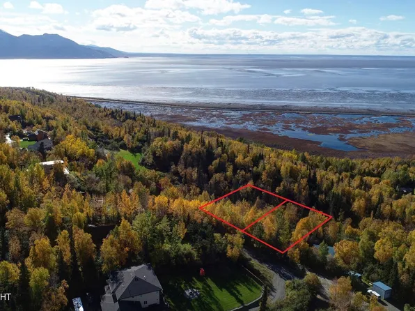 L9 & L10 Feodosia Dr, Anchorage, AK 99516