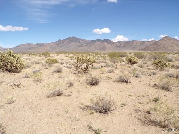 LOT 223 Indian Dr, Dolan Springs, AZ 86441