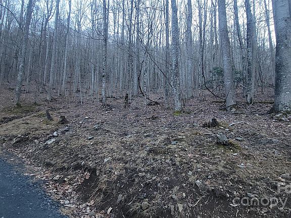 5th image of LOT 7B Hickory Springs Rd