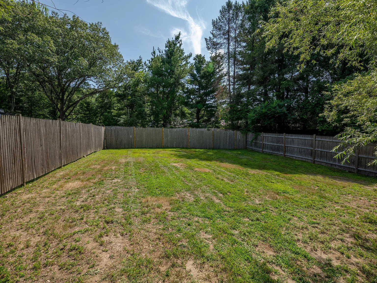 4 bed, 1600 sqft, $3,200 — Photo 4