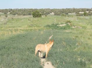 0 County Road 78, Thatcher, CO 81059