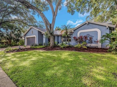 60 Crane Dr, Safety Harbor, FL, 34695
