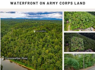 Mango Ln, Ellijay, GA 30540