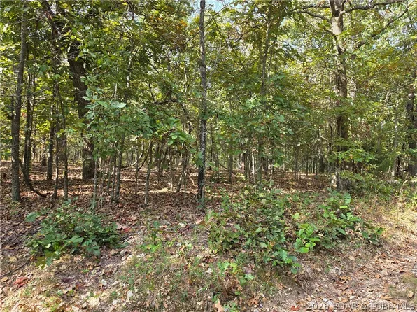 Araskog Drive 3205 3206 #3203-3204, Edwards, MO 65326