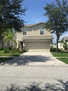 7869 Carriage Pointe Dr, Gibsonton, FL, 33534