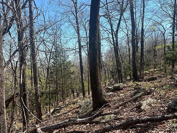 2nd image of 6 S 511th Rd