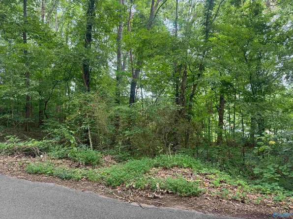 Lots 6 9 Halsey St, Gadsden, AL 35901