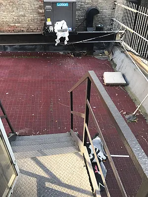 Rented by The Search D&M | media 25