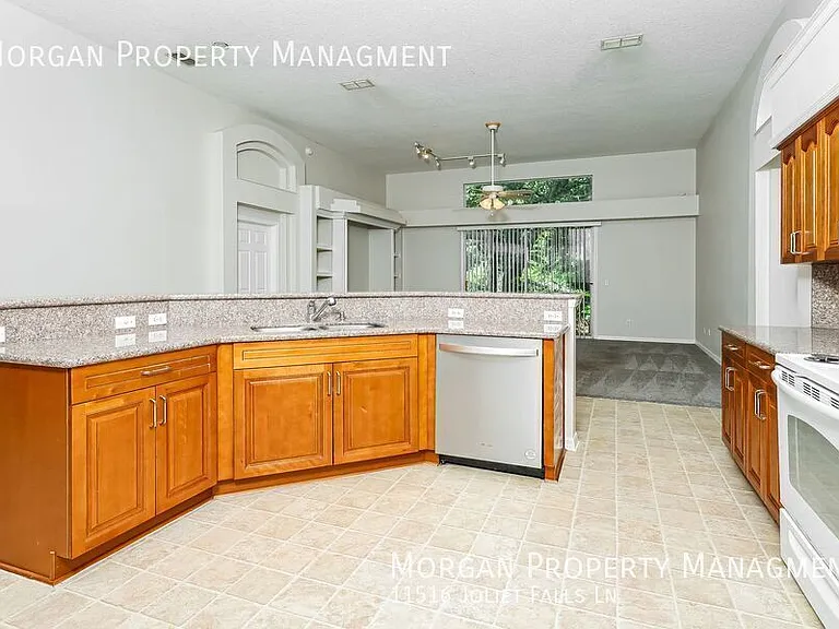 11516 Joliet Falls Ln — Photo 3