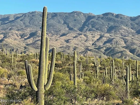 3051 N Placita De Nazca, Tucson, AZ 85749