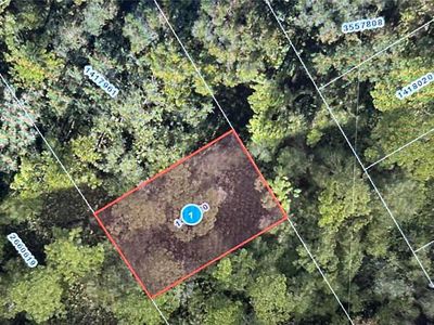 Stacey Dr #1000, Mount Dora, FL, 32757