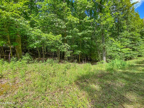 3rd image of 100 Oak Ln