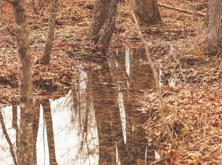 1555 Palmer Firetower Rd, Palmer, TN 37365