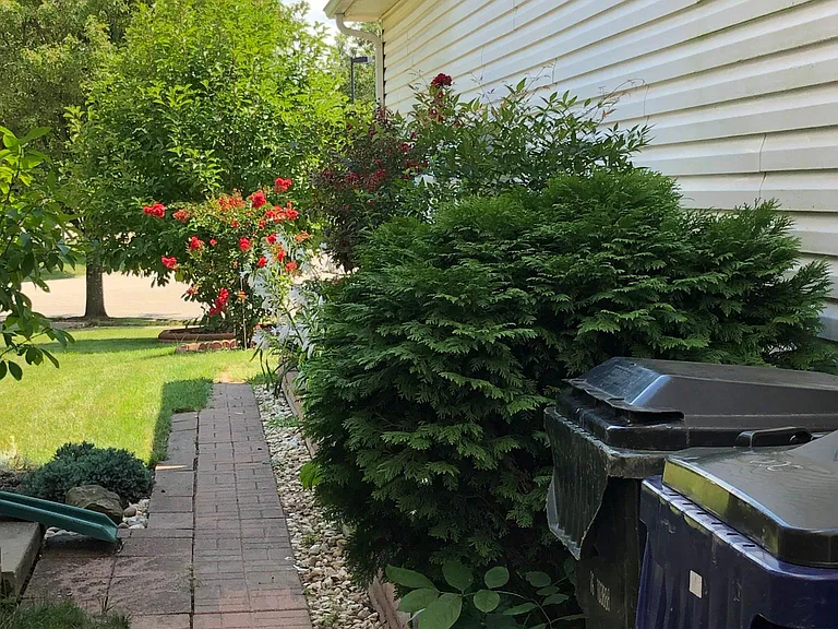605 Verbena Cv — Photo 14