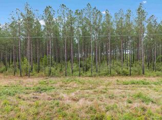 LOT 2 Mineral Springs Rd, Jay, FL 32565