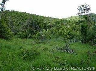 105 Alphorn Way #105, Midway, UT 84049