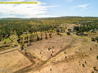 5502 Road To The Past, Pinedale, AZ 85934