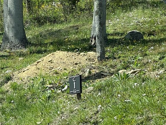 3rd image of C1 Eagles Nest Trail