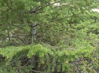 3135 Ridge Rd, Nederland, CO 80466