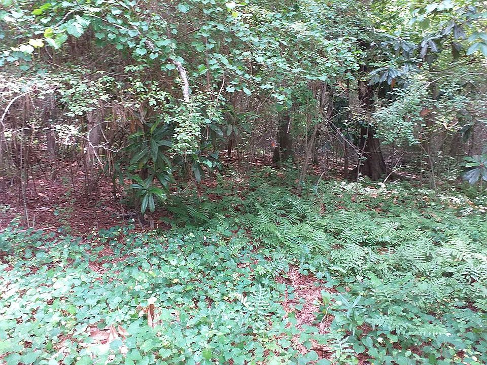 1st image of 110 Maddoxwoods Dr