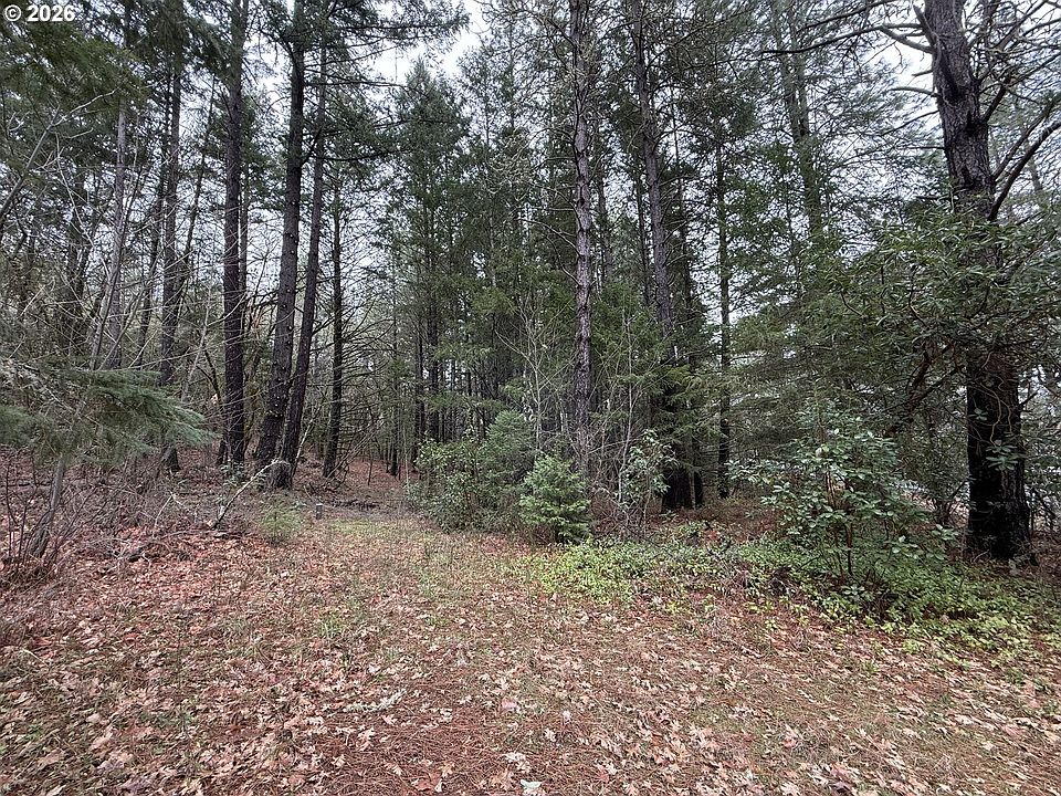 2nd image of 907 Riverbanks Rd