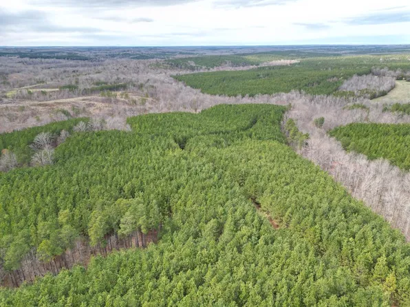 Scuffletown Rd, Randolph, VA 23962