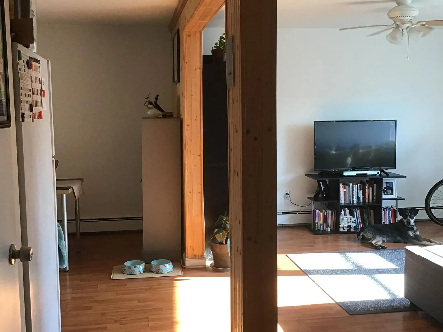 2 bed, 816 sqft, $2,720 — Photo 3