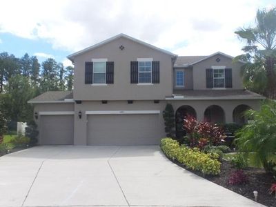 5283 Shasta Daisy Pl, Land O Lakes, FL, 34639