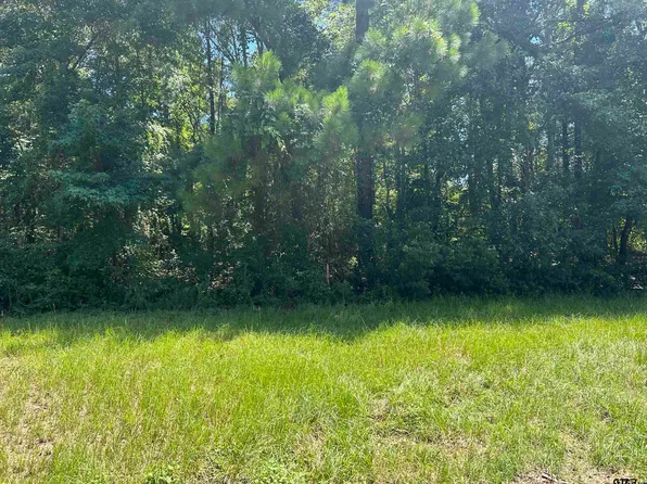 20127 County Road 2138, Troup, TX 75789