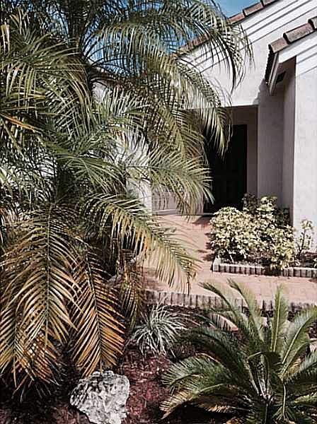 1st image of 1318 Sabal Trl