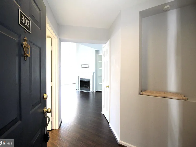 46598 Drysdale Ter #303 — Photo 3