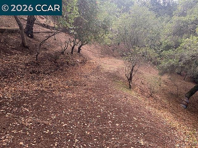 1st image of Mountain View Ave