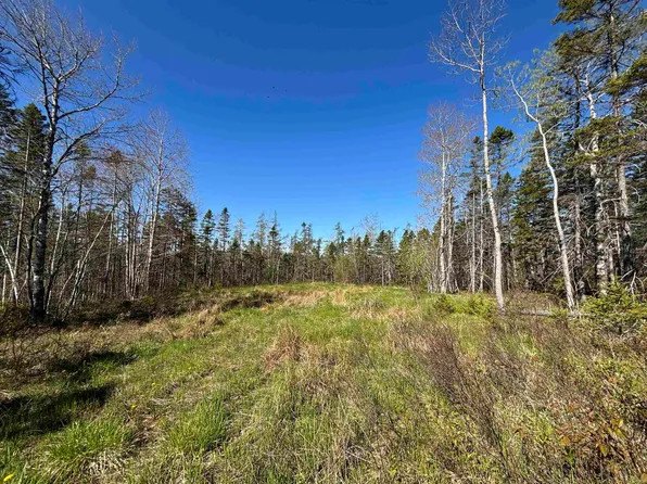 91 Timber Dr, East Hants, NS B2T 0L9