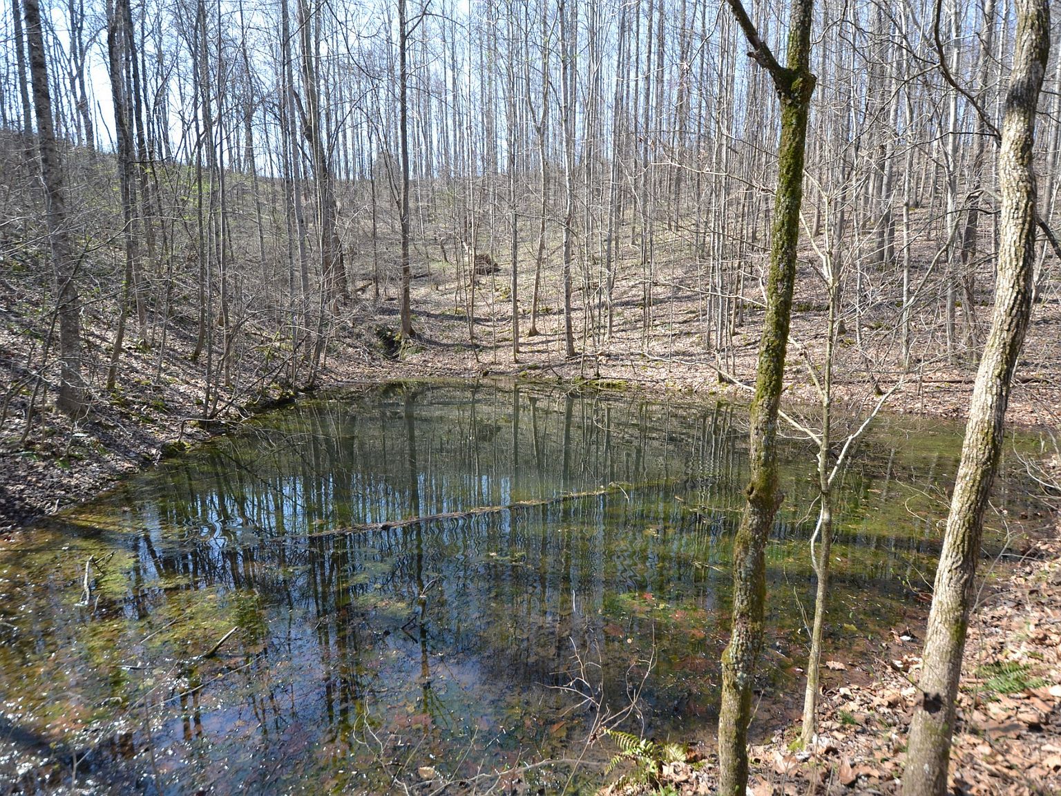 2 Pea Ridge Rd LOT 2, Elmwood, TN 38560 Zillow