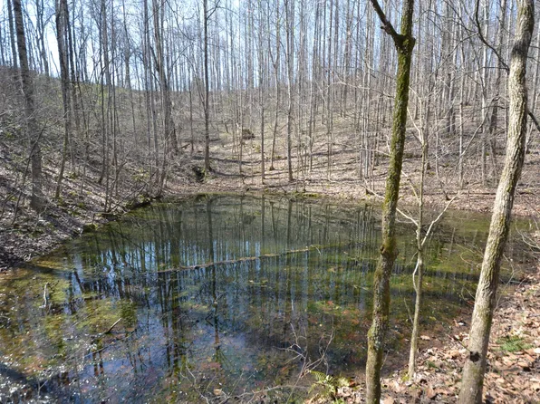 2 Pea Ridge Rd Lot 2, Elmwood, TN 38560
