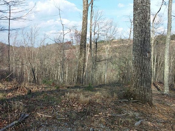 4th image of Lots 52- 110- 134 The Summit On Bluff Mtn